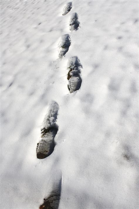 Sound of footsteps in the snow in boots