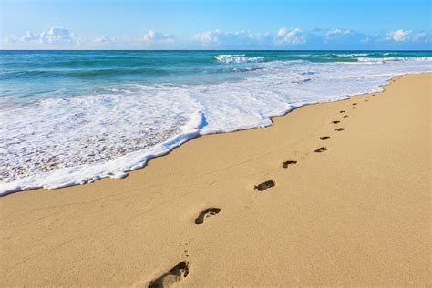 Sound of footsteps on the water