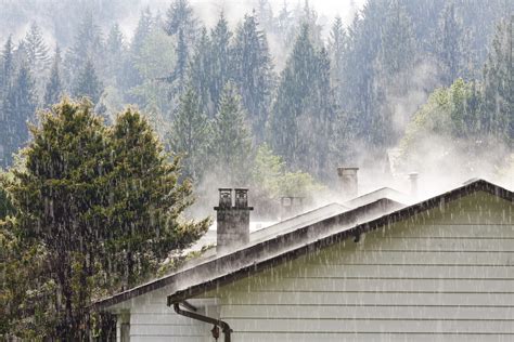 Sound of heavy rain on the grass and roof