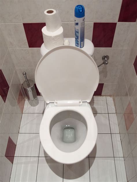 Sound of a toilet bowl: flushing and filling the tank