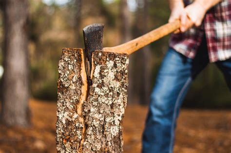 Sound of an ax hitting wood