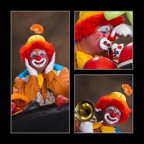 Sound of a cheerful clown horn (horn)