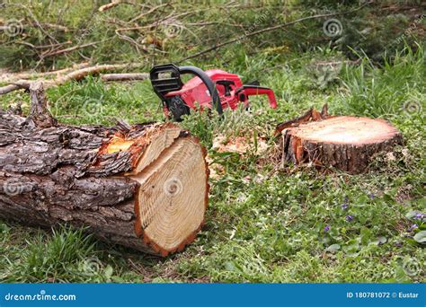 Sound of deforestation (wood sawing)