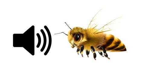 Bee buzzing sound (short)