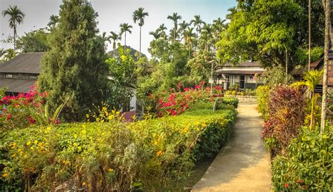 Sounds of the village in the indian countryside: in the background the voices and singing of birds