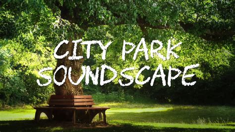 City park sounds: birds, children's voices