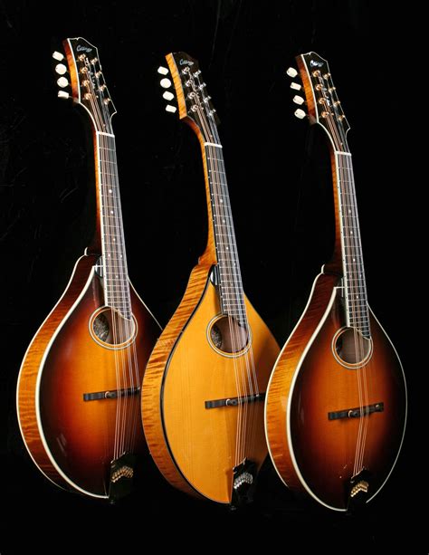 Sounds of mandolin (3)