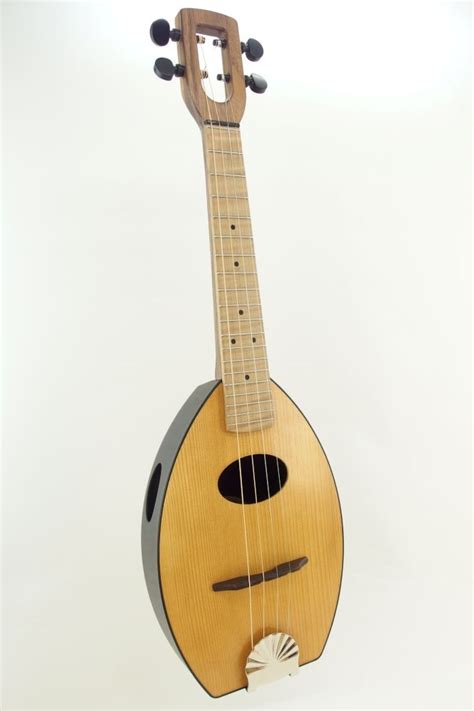 Sounds of mandolin (4)