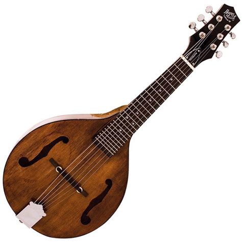 Sounds of mandolin (6)