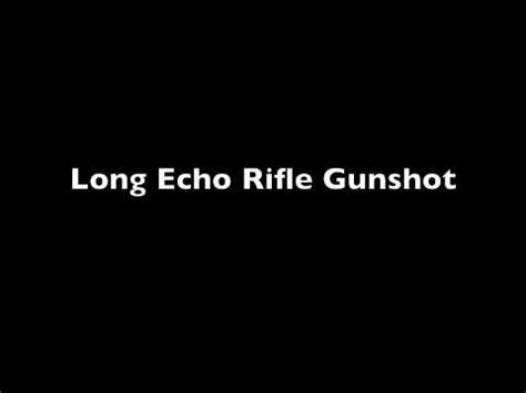 Gun sounds with long echo effect