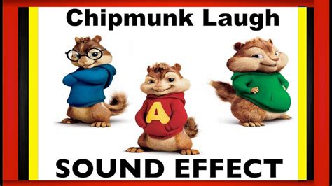 Chipmunk laugh sound effect