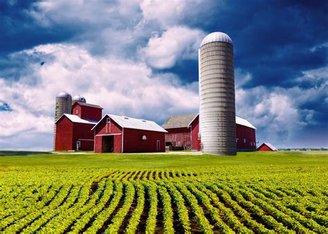 Farm sound: heavy rain, wind, thunder