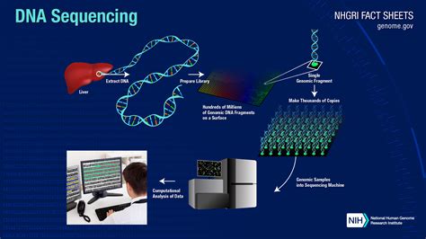 Sequencer sound effects