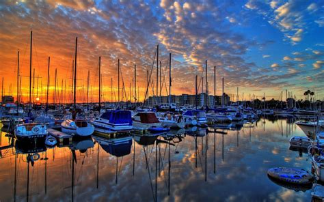 Harbor: sounds of water, birds, sea