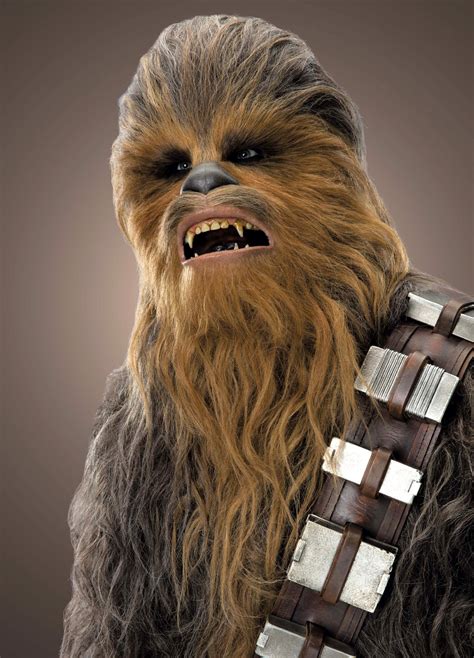Voice of chewbacca, chewie: a star wars character (2) - sound effect