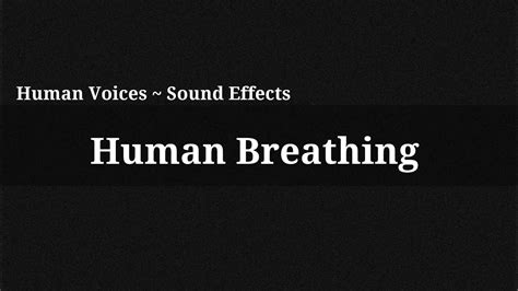 Voice audio effect breathing - sound effect