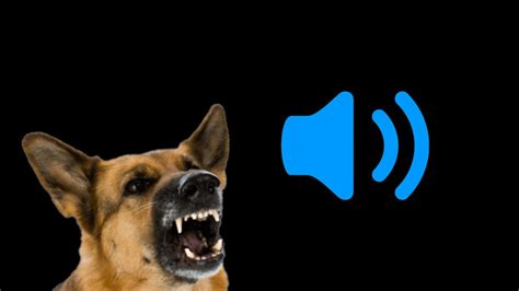 Dog growling voice audio effect - sound effect