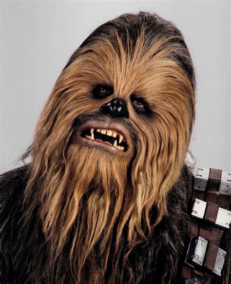 Chewbacca sound effects