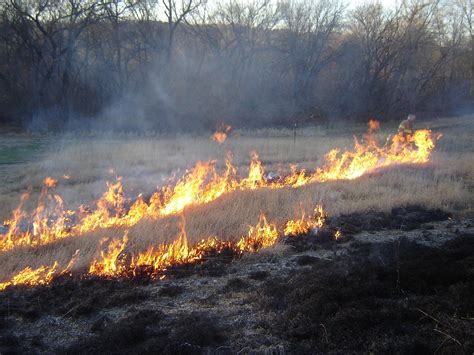 Burning grass - sound effect