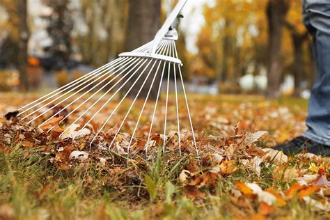 Dry leaves are raked - sound effect
