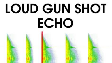 10 pistol shots with echo effect - sound effect