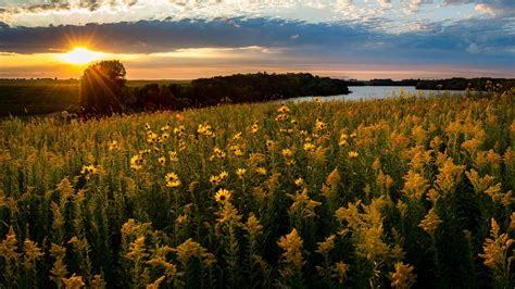 Prairie sound effects