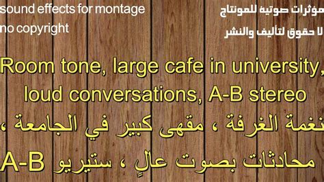 Cafe at the university, loud conversations (russian) - sound effect