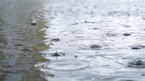 Raindrops on the pond - sound effect