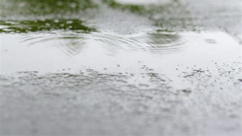 Raindrops knock on the canopy, thunder - sound effect