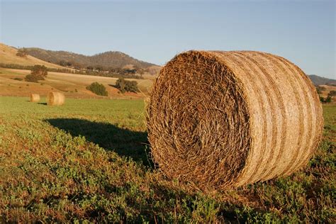 Hay sound effects