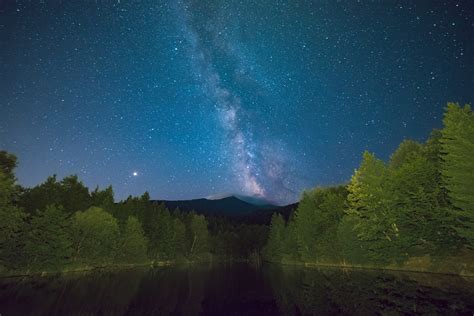 Atmosphere of nature at night: cicadas, stream - sound effect