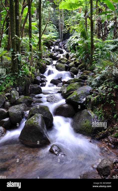 Babbling brook sound effects