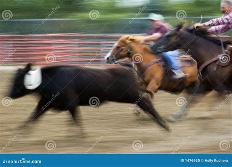 Rodeo atmosphere: voices and screams of people in the background - sound effect