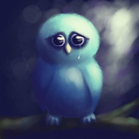 Owl cry - sound effect
