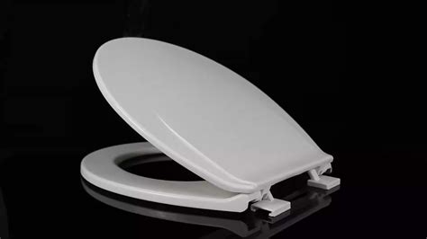 Toilet lid - sound effect