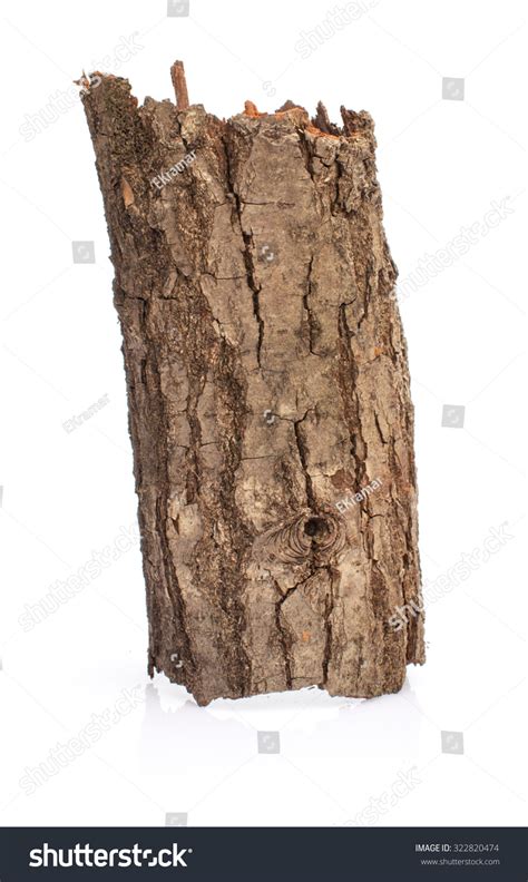 Piece of bark breaks off tree - sound effect