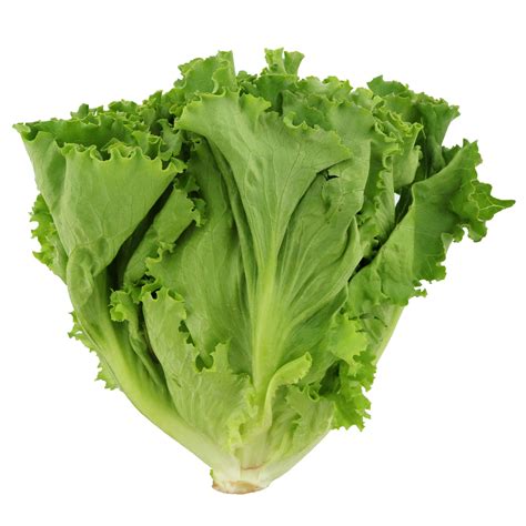 Lettuce sound effects