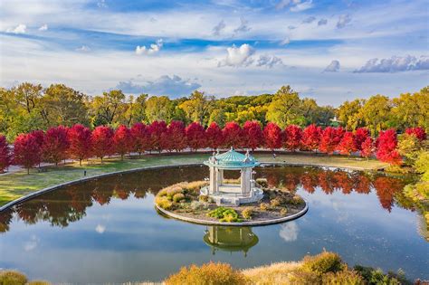 Forest park area: birdsong - sound effect