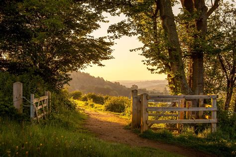 Summer in the countryside - sound effect