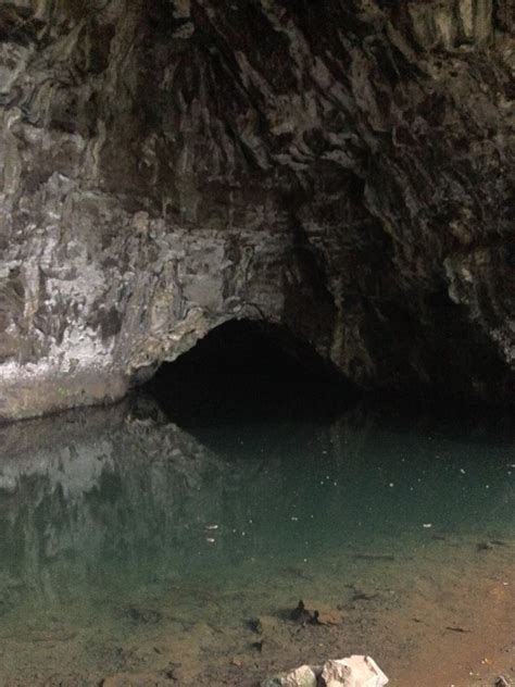 Wet cave sound: dripping water, bats