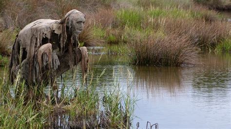 Sticky creature in the swamp - sound effect