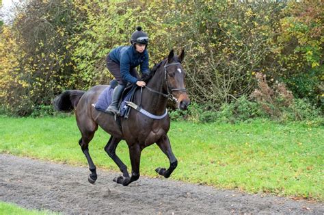 Horse gallops at a light gallop - sound effect