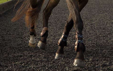 Horses in trouble - sound effect