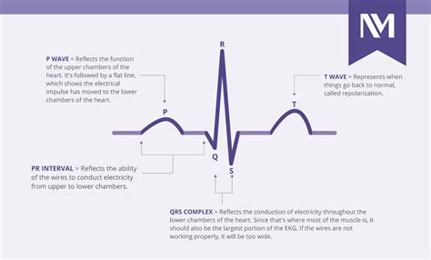 Medicine, ecg (electrocardiogram) - sound effect