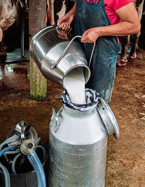Milk is churned in a milk tank, farm - sound effect