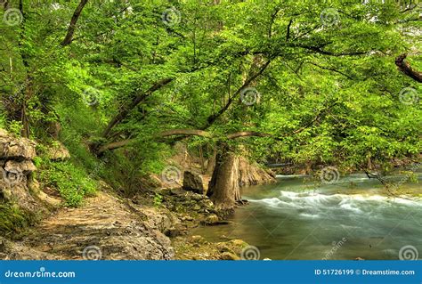 Sounds on the bank of a calm river