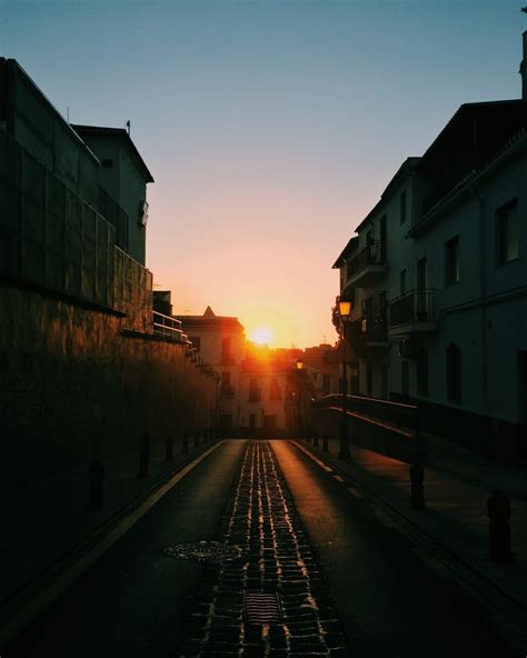 Sounds on the city alley (morning, dawn)