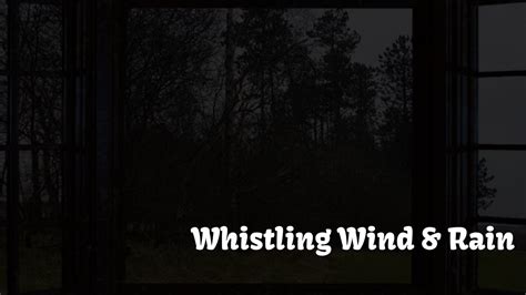 Wind whistle, howl - sound effect