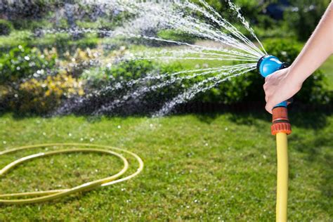 Watering from a hose - sound effect