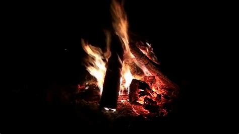 Campfire (loop) - sound effect